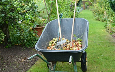 Wheelbarrow